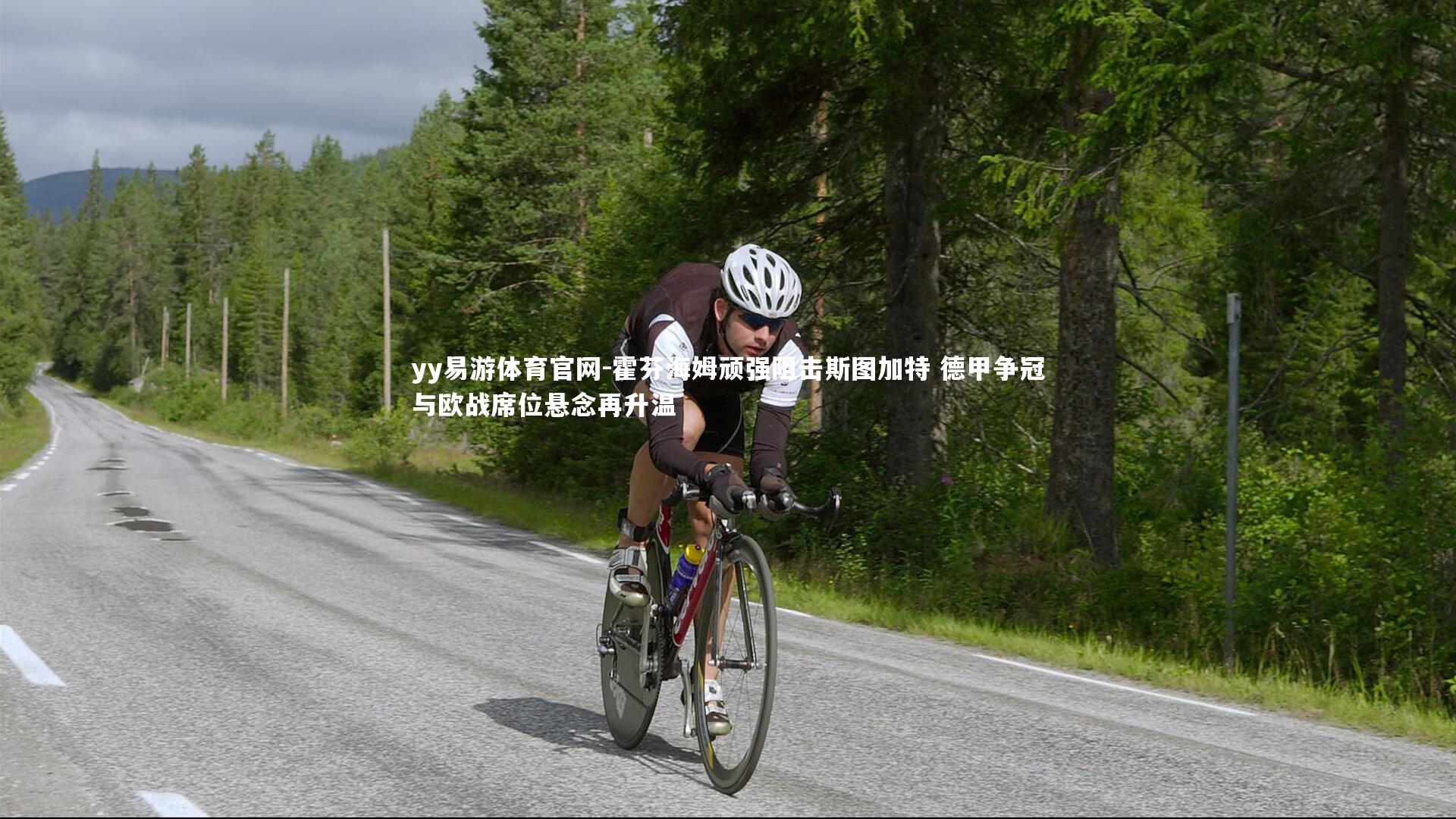 霍芬海姆顽强阻击斯图加特 德甲争冠与欧战席位悬念再升温